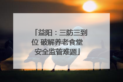 益阳：三防三到位 破解养老食堂安全监管难题