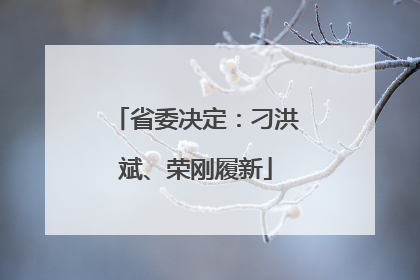 省委决定：刁洪斌、荣刚履新