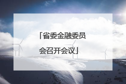 省委金融委员会召开会议