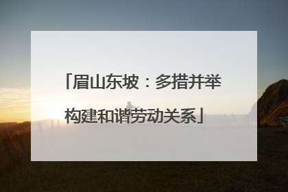 眉山东坡：多措并举构建和谐劳动关系