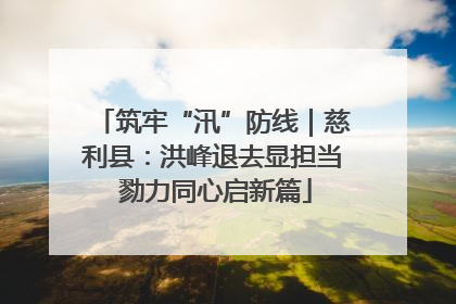 筑牢“汛”防线｜慈利县：洪峰退去显担当 勠力同心启新篇