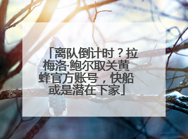离队倒计时？拉梅洛·鲍尔取关黄蜂官方账号，快船或是潜在下家