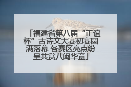 福建省第八届“正谊杯”古诗文大赛初赛圆满落幕 各赛区亮点纷呈共赏八闽华章