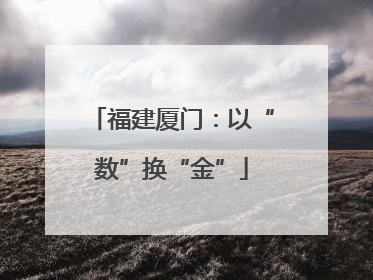 福建厦门：以“数”换“金”
