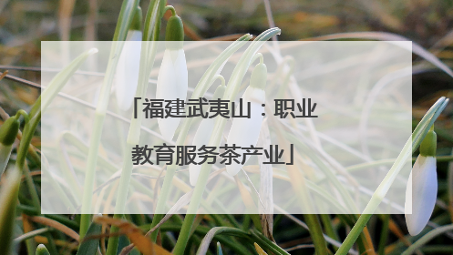 福建武夷山：职业教育服务茶产业