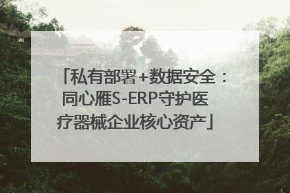 私有部署+数据安全：同心雁S-ERP守护医疗器械企业核心资产
