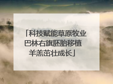 科技赋能草原牧业 巴林右旗胚胎移植羊羔茁壮成长
