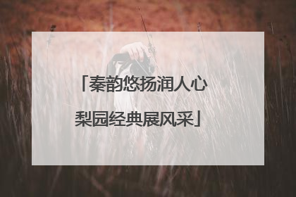 秦韵悠扬润人心 梨园经典展风采