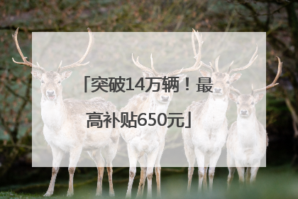 突破14万辆！最高补贴650元