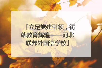 立足党建引领，铸就教育辉煌——河北联邦外国语学校