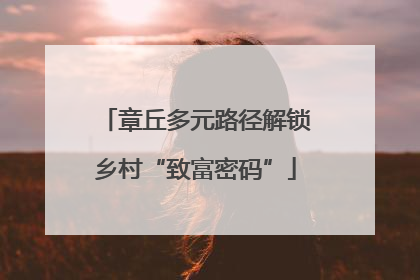 章丘多元路径解锁乡村“致富密码”