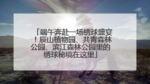 端午奔赴一场绣球盛宴！辰山植物园、共青森林公园、滨江森林公园里的绣球秘境在这里