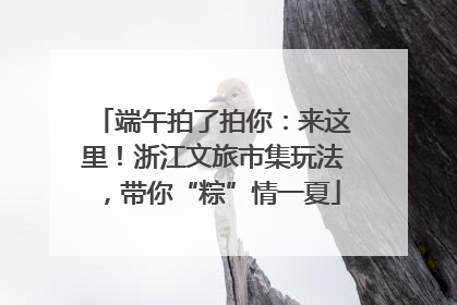 端午拍了拍你：来这里！浙江文旅市集玩法，带你“粽”情一夏