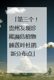 第三个！贵州发现珍稀濒危植物睡莲叶杜鹃新分布点