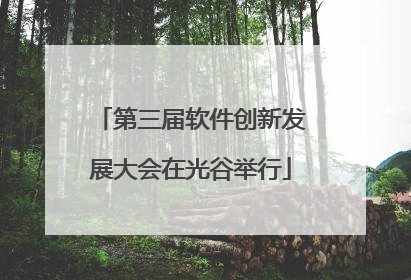 第三届软件创新发展大会在光谷举行