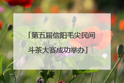 第五届信阳毛尖民间斗茶大赛成功举办