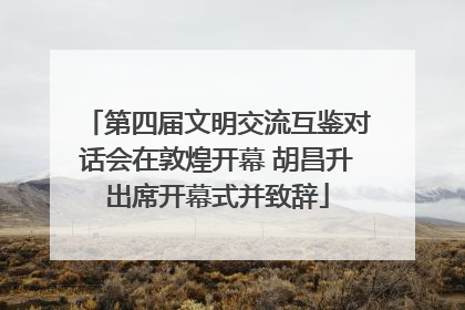 第四届文明交流互鉴对话会在敦煌开幕 胡昌升出席开幕式并致辞