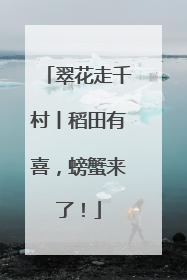 翠花走千村丨稻田有喜，螃蟹来了！