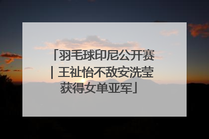 羽毛球印尼公开赛｜王祉怡不敌安洗莹 获得女单亚军
