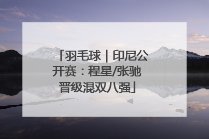 羽毛球｜印尼公开赛：程星/张驰晋级混双八强