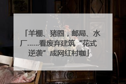 羊棚、猪圈，邮局、水厂……看废弃建筑“花式逆袭”成网红村咖