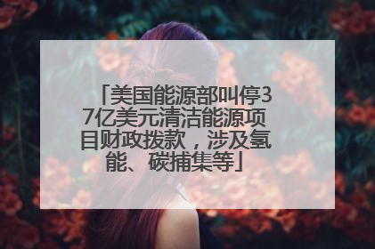 美国能源部叫停37亿美元清洁能源项目财政拨款，涉及氢能、碳捕集等