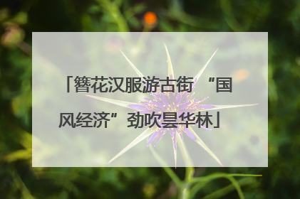 簪花汉服游古街 “国风经济”劲吹昙华林