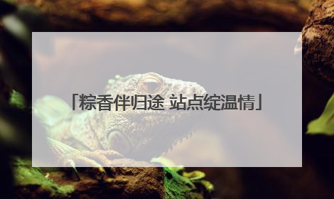 粽香伴归途 站点绽温情