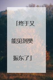 终于又能见到樊振东了