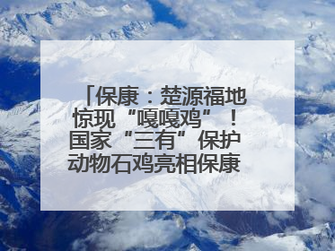 保康：楚源福地惊现“嘎嘎鸡”！国家“三有”保护动物石鸡亮相保康沿河公园