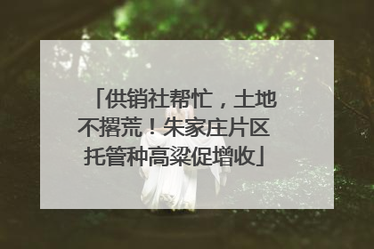 供销社帮忙，土地不撂荒！朱家庄片区托管种高粱促增收