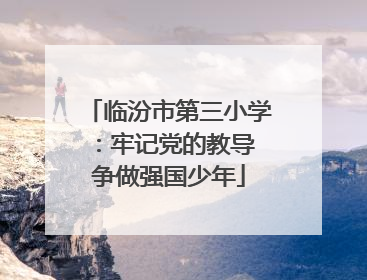 临汾市第三小学：牢记党的教导 争做强国少年