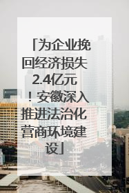 为企业挽回经济损失2.4亿元！安徽深入推进法治化营商环境建设