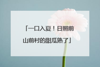 一口入夏！日照前山前村的甜瓜熟了