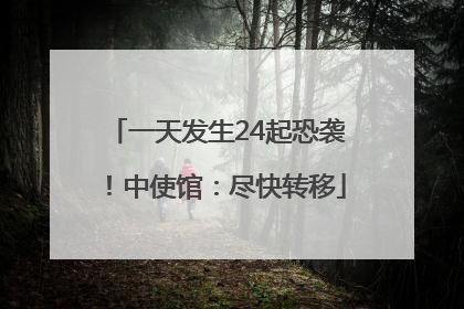 一天发生24起恐袭！中使馆：尽快转移