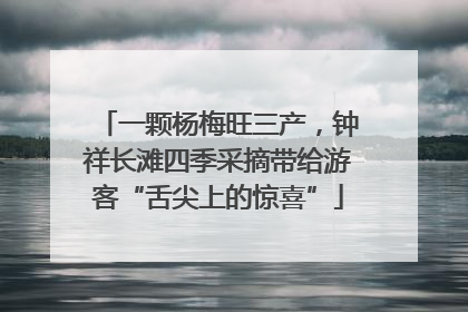 一颗杨梅旺三产，钟祥长滩四季采摘带给游客“舌尖上的惊喜”