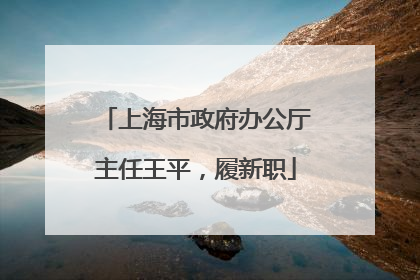 上海市政府办公厅主任王平，履新职