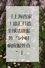 上海首家！徐汇打造全球法律服务“1小时响应服务仓”