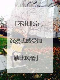 不出北京，沉浸式感受加勒比风情