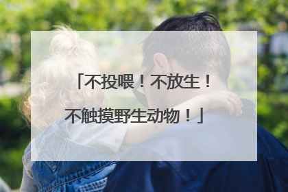 不投喂！不放生！不触摸野生动物！