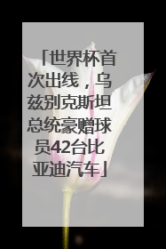 世界杯首次出线，乌兹别克斯坦总统豪赠球员42台比亚迪汽车