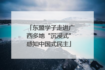 东盟学子走进广西多地“沉浸式”感知中国式民主