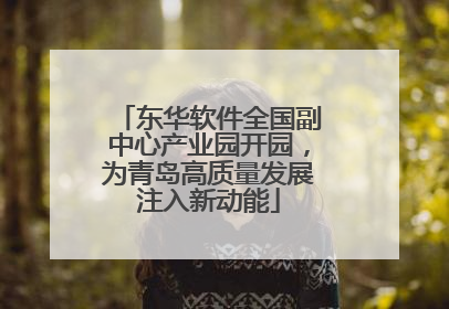 东华软件全国副中心产业园开园，为青岛高质量发展注入新动能