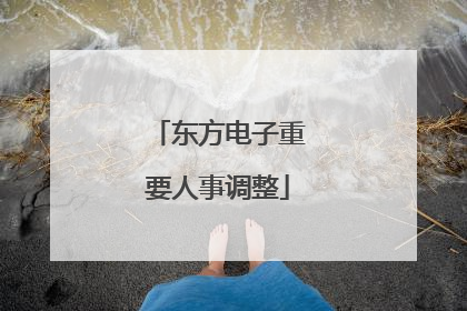 东方电子重要人事调整