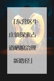 东营区牛庄镇探索占道晒粮治理新路径