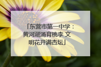 东营市第一中学：黄河潮涌育桃李 文明花开满杏坛