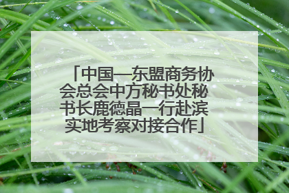 中国—东盟商务协会总会中方秘书处秘书长鹿德晶一行赴滨实地考察对接合作