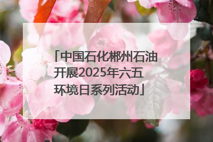 中国石化郴州石油开展2025年六五环境日系列活动