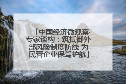 中国经济微观察·专家谈构：筑抵御外部风险制度防线 为民营企业保驾护航