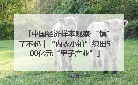 中国经济样本观察·“镇”了不起｜“内衣小镇”织出500亿元“里子产业”